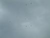 dscf0161