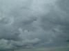 DSCF0610