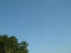 DSCF0314