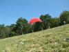 DSCF0480
