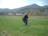 DSCF0453