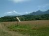 DSCF0321