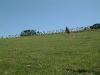 DSCF0345
