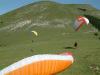 DSCF0352
