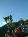 DSCF0511