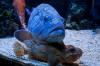 monaco_mg_9367