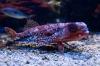 monaco_mg_9368