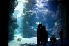 monaco_mg_9436