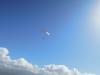 dscn2118
