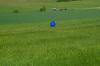 sam_6864