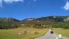 wp_20151011_14_43_36_pro