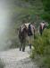 moustiers45