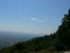 grappa0881