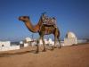 Morrocco 2