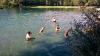wp_20150703_09_08_56_pro