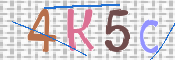 Kontrolní text