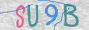 Kontrolní text