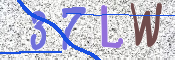 Kontrolní text