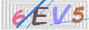 Kontrolní text