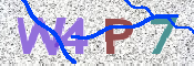 Kontrolní text