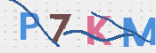 Kontrolní text