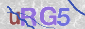 Kontrolní text