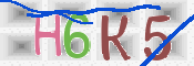 Kontrolní text